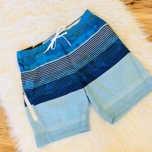 ZeroXposur Mens Swim Trunks Blue Stripe Extra Large